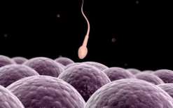 衢州三代试管婴儿的费用？杭州三代试管大概费用？