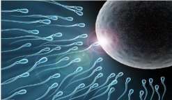 黄山三代试管费用明细!医院三代试管多少钱