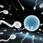 试管婴儿对卵泡数量有要求吗是不是越多越好？