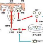浙江三代试管生男孩医院成功率排名前十汇总