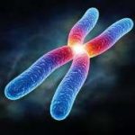 长春48岁高龄做试管婴儿,给大家普及试管知识