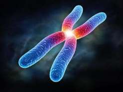 长春48岁高龄做试管婴儿,给大家普及试管知识