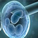 试管婴儿没有所谓的包成功(第三代试管婴儿为什么不能包成功) 试管婴儿没有所谓的包成功(第三代试管婴儿为什么不能包成功)