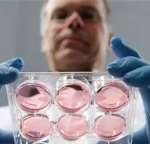 马来西亚三代试管包生男孩价格多少？