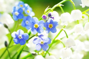 国内包生男孩就找第三代试管