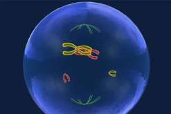 银川如果做三代试管得花多少钱？三代试管费用是多少haoyunbang？