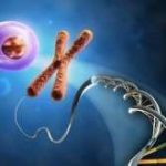 重庆三代试管费用和成功率?重庆三代试管大概费用 重庆三代试管费用和成功率?重庆三代试管大概费用