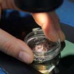 长春纵隔子宫患者做试管成功率高医院排名？