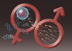 日照三代试管费用一览表2023