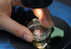 12个基础卵泡能取多少(基础卵泡促排方案)