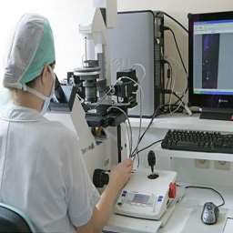 amh0.31还能不能自然怀孕 9个基础卵泡有没有怀孕的可能？