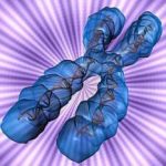 长春三代试管婴儿染色体异常(长春试管婴儿医院)