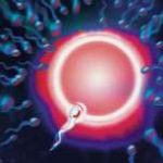 长沙湘雅医院三代试管婴儿流程[湖南试管婴儿]