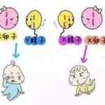 高龄做试管婴儿为什么成功率低 高龄做试管婴儿为什么成功率低