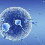 “医疗专家选”第三代试管流程和费用