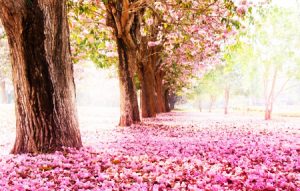 梧州三代试管成功率有多高_广西梧州试管