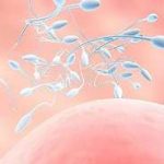 2023全国三代试管医院排名前十的医院？