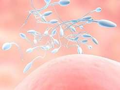 2023全国三代试管医院排名前十的医院？