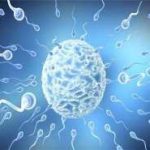 第三代试管婴儿真能100%选择生男生女吗