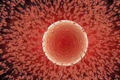 南昌第三代试管可以选女孩吗(南昌供卵试管)