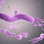 潍坊三代试管婴儿双胞胎费用大约多少