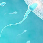 “家庭福音”输卵管堵塞可以直接做试管婴儿吗 “家庭福音”输卵管堵塞可以直接做试管婴儿吗