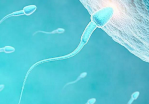 “家庭福音”输卵管堵塞可以直接做试管婴儿吗