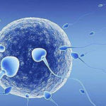 福州第三代试管一般几次成功