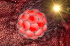 邯郸试管成功率的医院排名 邯郸试管婴儿费用大约多少