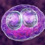 绍兴三代试管男孩流程