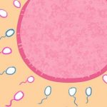 汉中三代试管成功需要多少钱