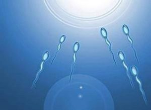 赣州市立医院 赣州市立医院试管成功率