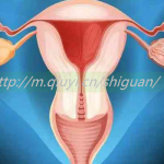 俄罗斯三代试管助孕借卵生子结构排行榜单揭晓
