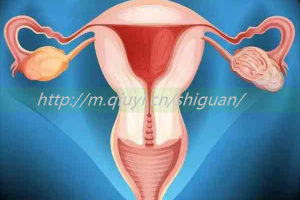 俄罗斯三代试管助孕借卵生子结构排行榜单揭晓