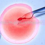 2023高龄能通过试管助孕借精怀孩子吗