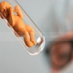 玉林三代试管借卵生子公司Top10排行