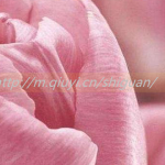 南通三代试管捐卵生孩子医院推荐