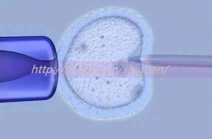 2023高龄能通过试管助孕怀双胞胎吗