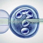 佛山三代试管助孕私立生子医院排名第一是哪家