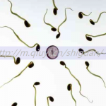 嘉兴三代试管助孕私立生子公司哪家强