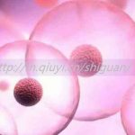 兰州三代试管助孕私立生子医院排名第一是哪家