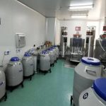 抚州三代试管婴儿服务机构