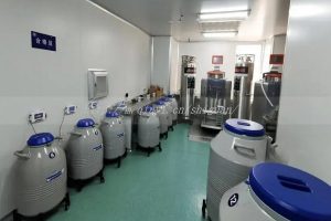 抚州三代试管婴儿服务机构