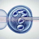 信阳三代试管供卵生孩子机构排名前十有哪些
