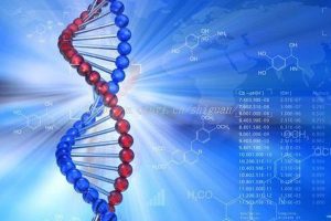 2023年在昆明私立生殖医院做供卵试管费用，大概要多少啊