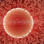 海口供卵试管医院费用，内含私立医院试管费用明细