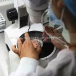 孝感三代试管性别鉴定要几天