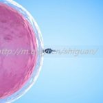 内蒙古三代试管捐卵生孩子机构最新排名