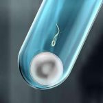 宝鸡第三代试管选择性别？宝鸡哪个医院可以做试管婴儿