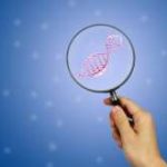 想怀孕没有卵泡怎么办(多运动对卵泡生长有好处吗)